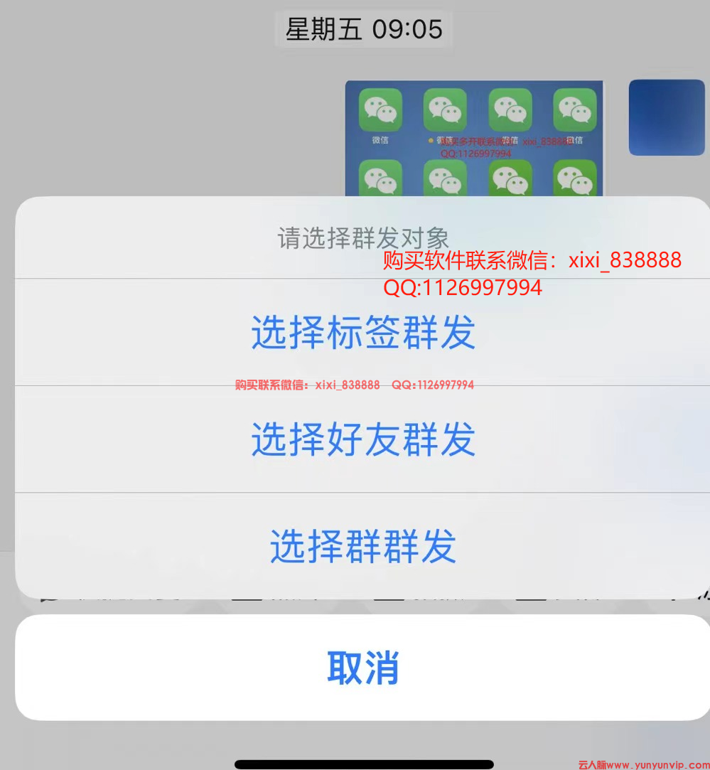 1732155072435.jpg
