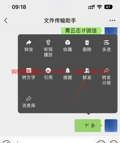 苹果11一键转发语音功能详解：操作指南与注意事项