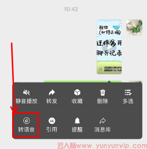 苹果iOS微信视频转语音教程：3种方法轻松实现语音提取-第2张